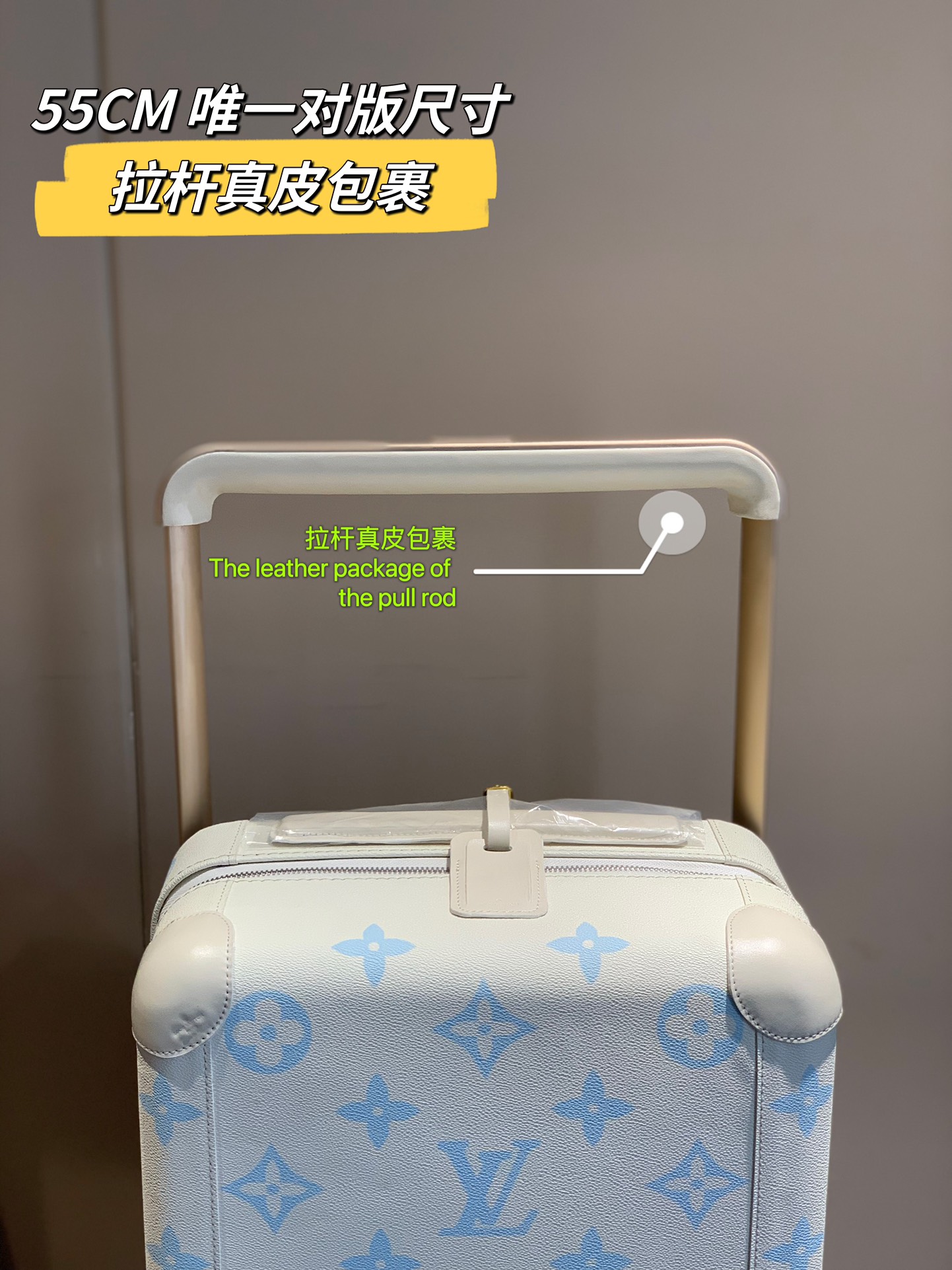 LV Suitcase